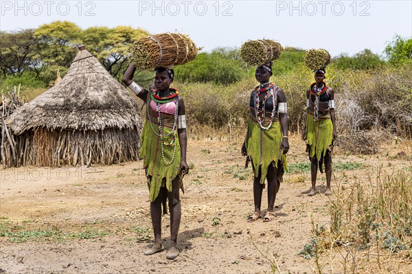 Girls with collected reeds on their heads on their way home