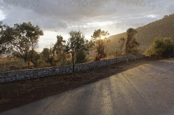 Downpour on a country road