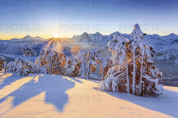 Winter view from the Niederhorn at sunrise