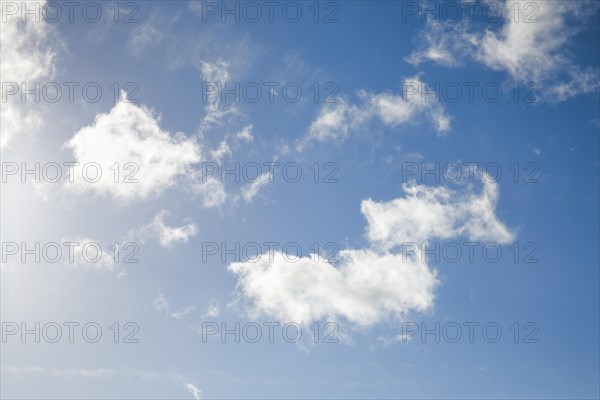 Feather and fleecy clouds adorn the blue sky in strong winds