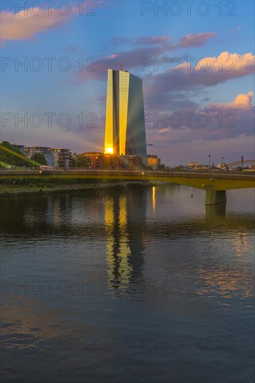 The European Central Bank