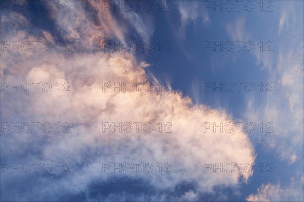 Pink coloured cirrus clouds form a spectacular cloud formation in the blue sky during a Foehn storm and sunrise