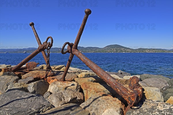 Port of Saint Tropez