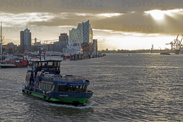 Elbe Philharmonic Hall in the morning light