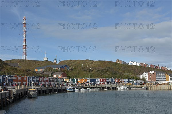 Lobster stalls