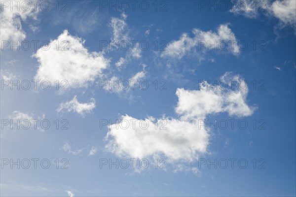 Feather and fleecy clouds adorn the blue sky in strong winds