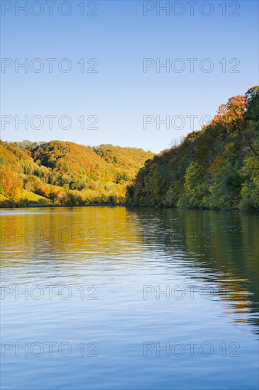 View from the riverbank near Eglisau of the Rhine fringed by colourful autumn forest