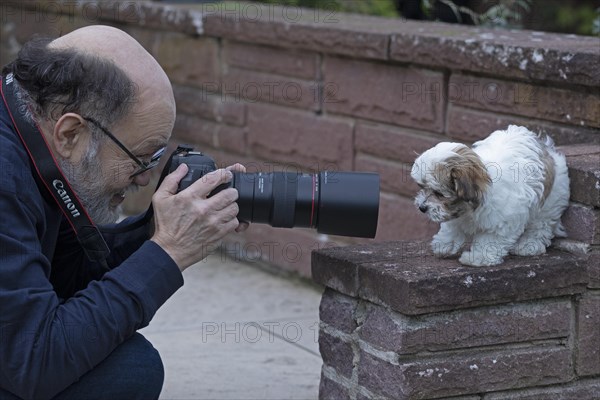 Older man photographing Bolonka Zwetna puppy