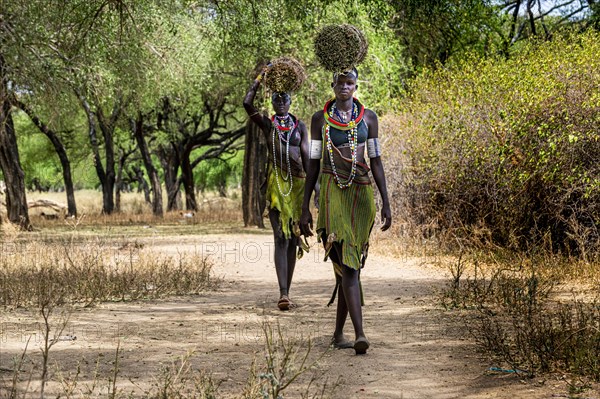 Girls with collected reeds on their heads on their way home