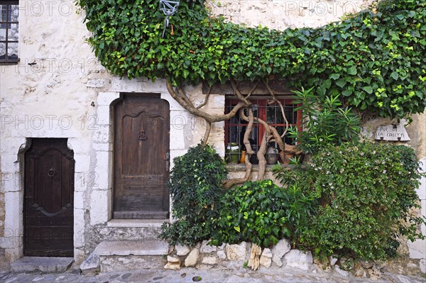 Cosy alleys and squares