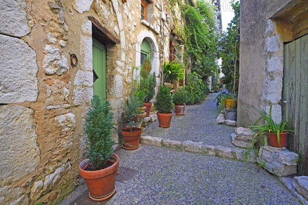 Cosy alleys and squares