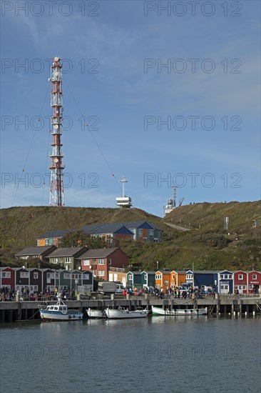 Lobster stalls