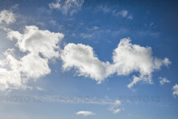 Feather and fleecy clouds adorn the blue sky in strong winds