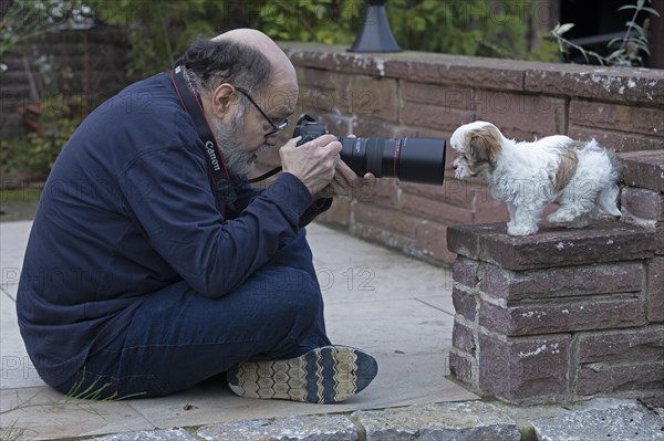 Older man photographing Bolonka Zwetna puppy