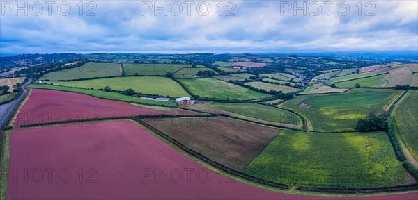 Panorama of Fields over Labrador Bay and River Teign from a drone