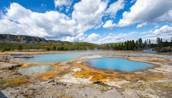 Black Opal Pool