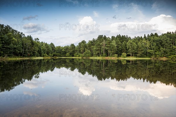Lake with water reflection