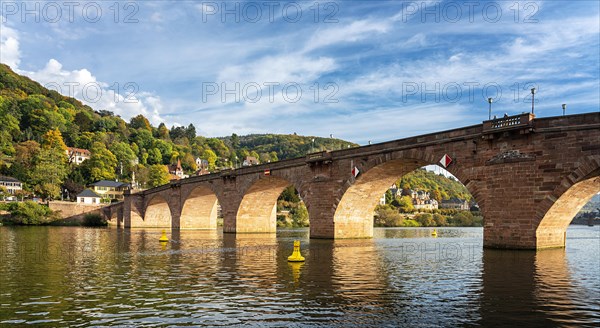 Heidelberg with the Old Bridge and shipping on the Neckar
