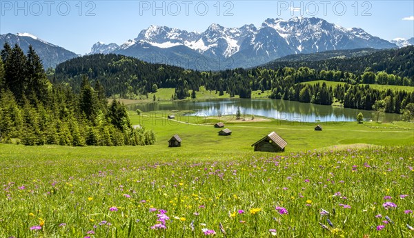 Flower meadow with hay barn at Geroldsee
