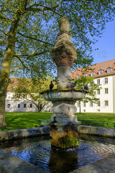 Fountain