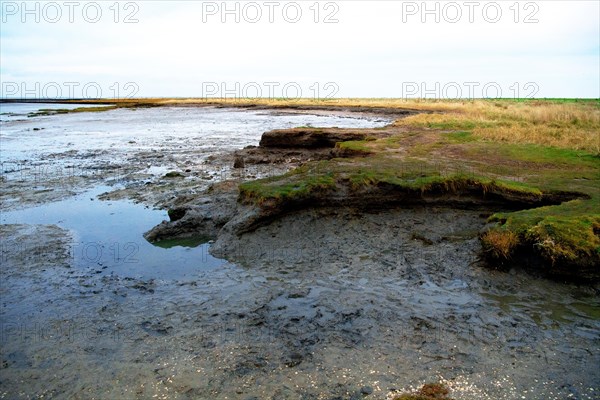 Natural beach with direct transition into the Wadden Sea