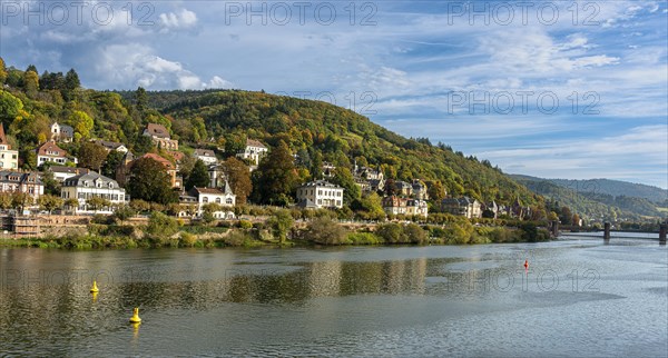 Old villas on the banks of the Neckar in Heidelberg