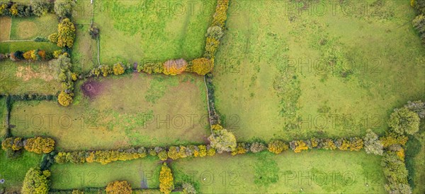 Panorama view of Autumn Colors over Somerset fields from a drone