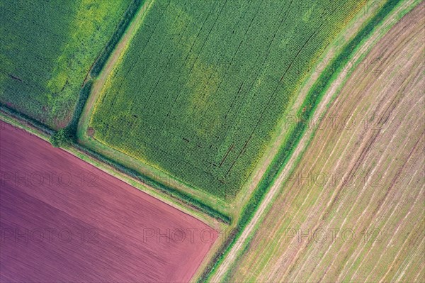 Fields and Meadows over Torbay from a drone