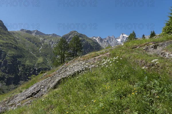 Landscape with the Wannenhorn from the hiking trail between Bellwald and Aspi-Titter suspension bridge