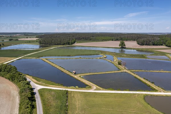 Fish ponds