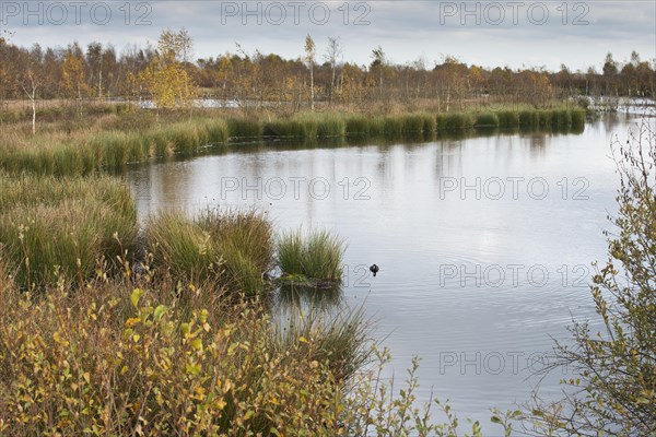 Autumn moorland