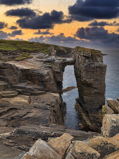 Rock Needle with Bridge