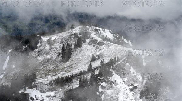 Snowy landscape