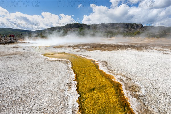 Yellow bacteria and algae in a hot spring at Black Sand Basin and Biscuit Basin