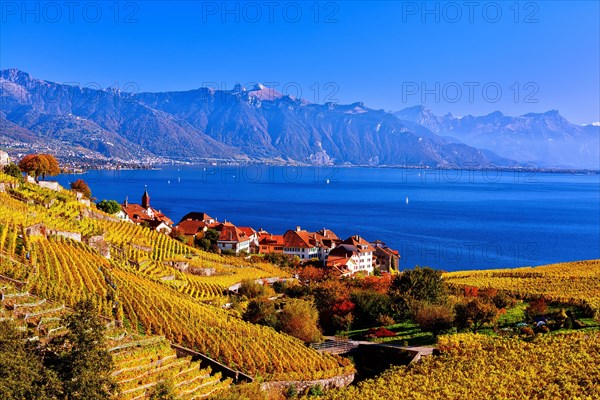 Village view of Rivaz with autumn-coloured vineyards