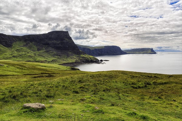 Coast with meadows and high cliffs