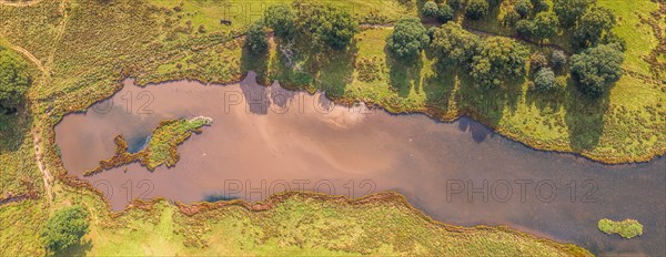 Panorama of Pond in Powderham Park from a drone