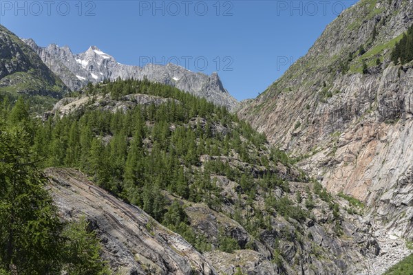 Landscape with the Wannenhorn group from the Aspi-Titter suspension bridge