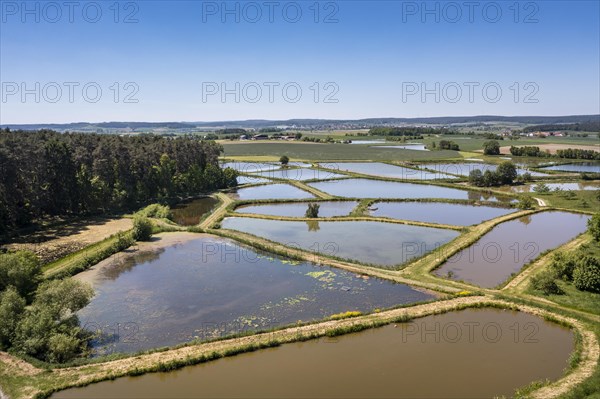 Fish ponds