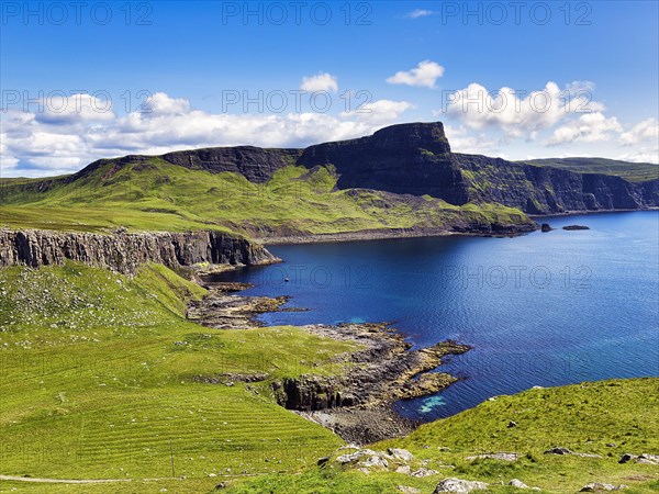 Coast with meadows and cliffs