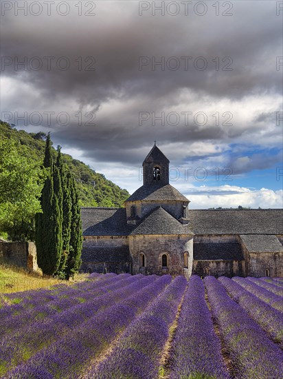 Romanesque-style Cistercian monastery of Notre-Dame de Senanque