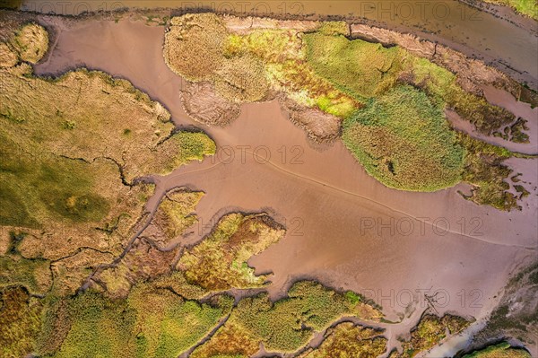 Top Downe view of Tidal Creek at River Teign from a drone