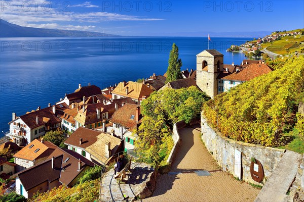 View of St. Saphorin in autumn