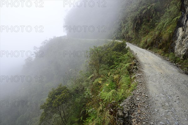 Clouds of fog on the Death Road