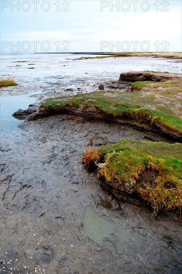 Natural beach with direct transition into the Wadden Sea