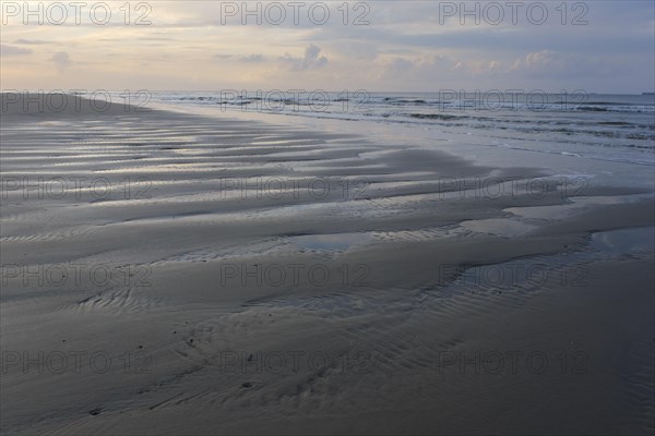 North Sea coast in the evening light