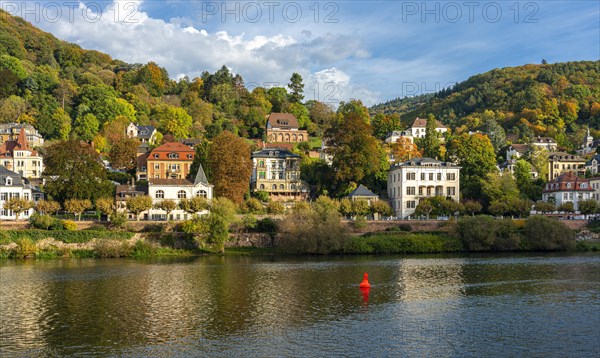 Old villas on the banks of the Neckar in Heidelberg