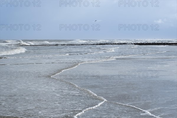 Waves on the North Sea coast