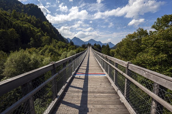 Treetop path