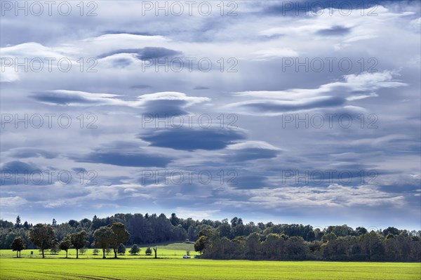 Foehn clouds